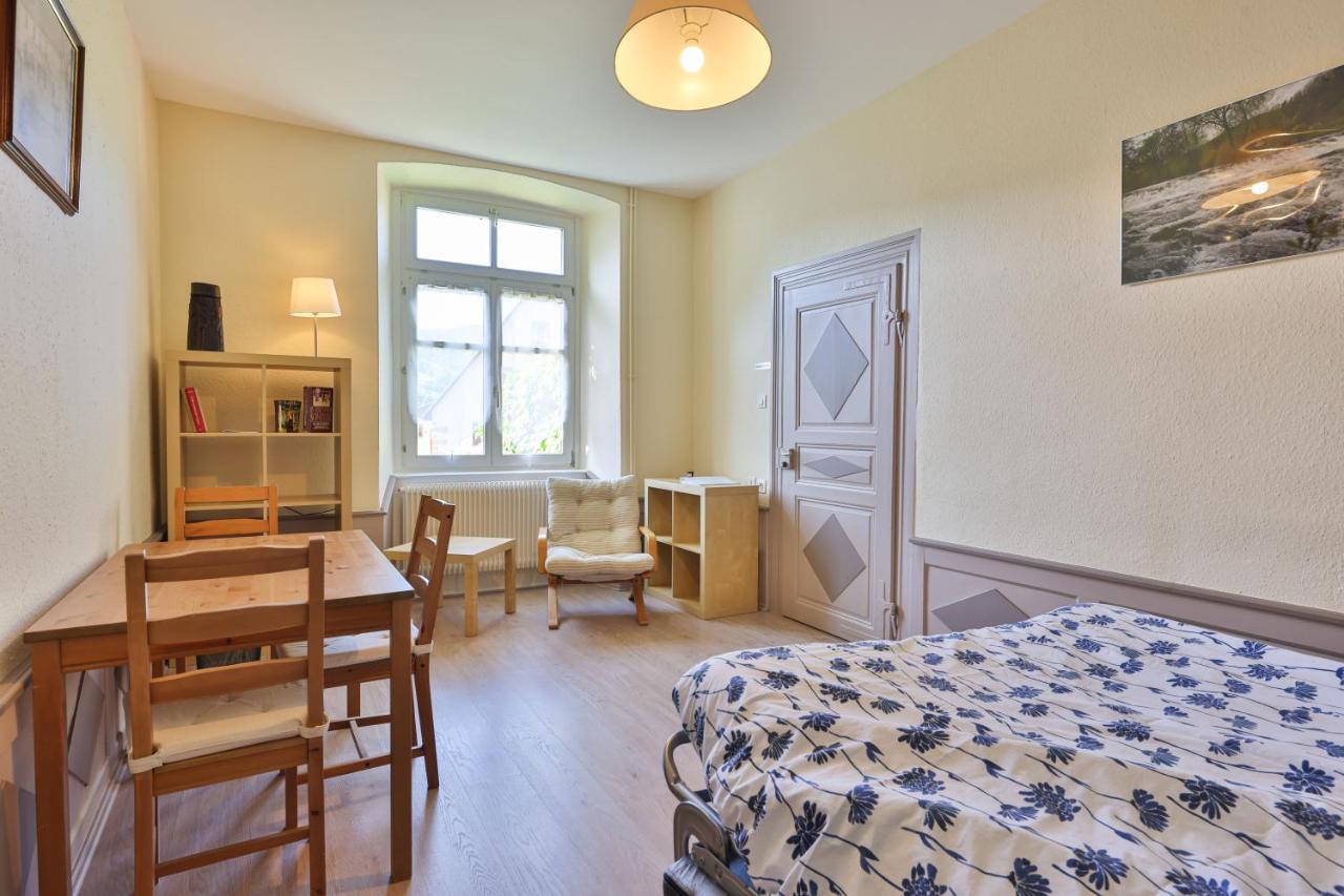 Ancien Presbytere Albert Schweitzer Gunsbach Luaran gambar